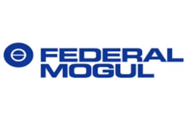 Federal Mogul logosu – Vizyonjet Referansları
